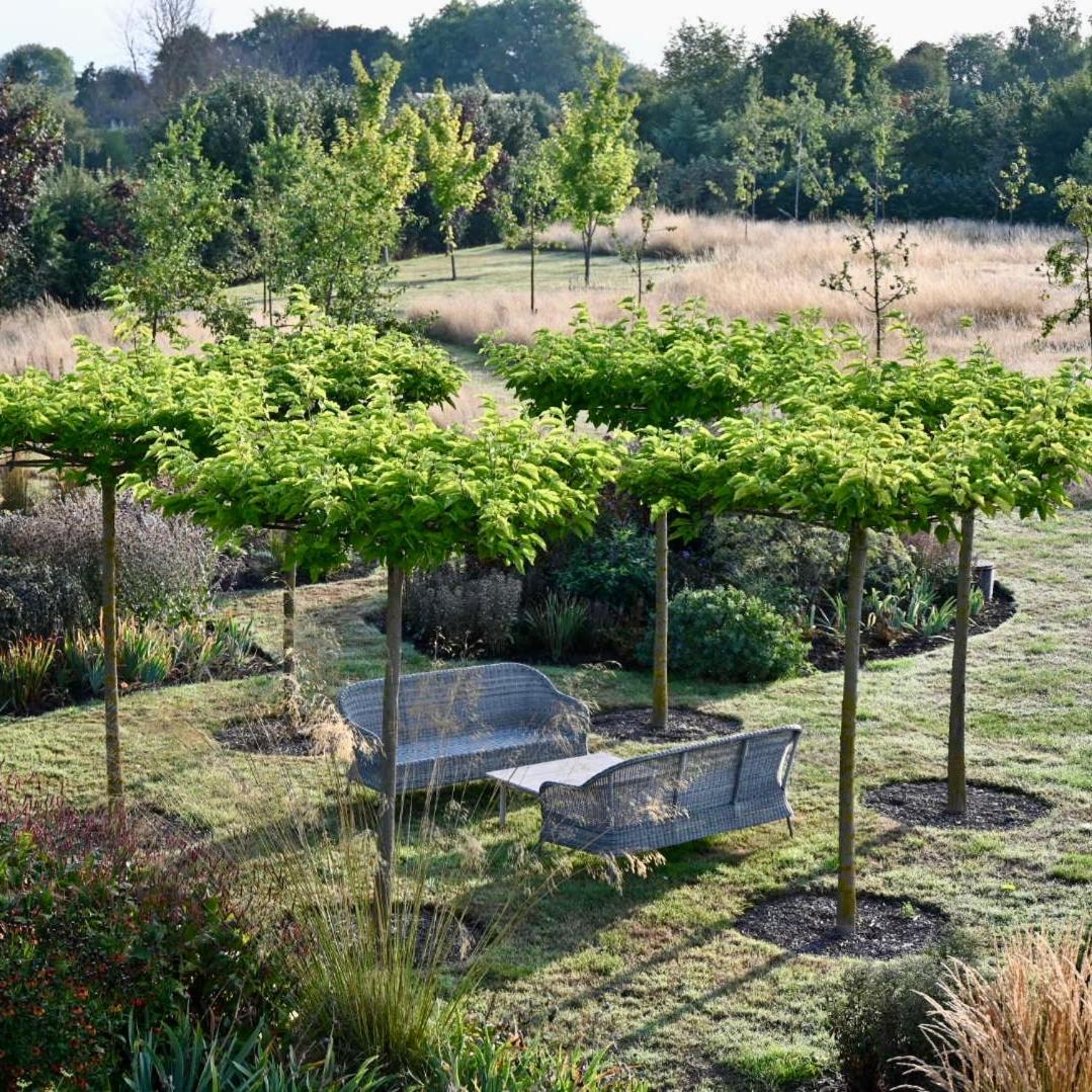Chidham Orchard Dene B&B 외부 사진